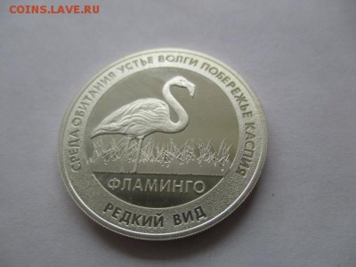 Фламинго. Красная книга. Жетон СПМД, серебро, 15,55 гр, 925 - IMG_7105.JPG