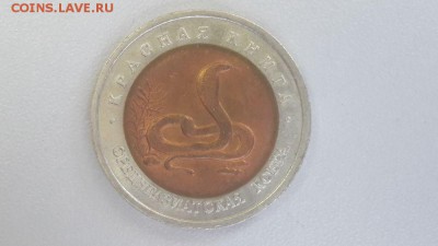 Красная книга 1992г. Среднеазиатская кобра, до 27.07 - X Кобра-1