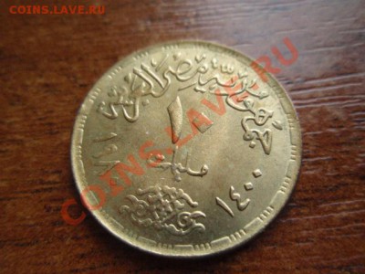 ФАО Египет 10 миллимов 1980 Тётя у Пирамид до 05.05 в 21.00М - P5030547.JPG