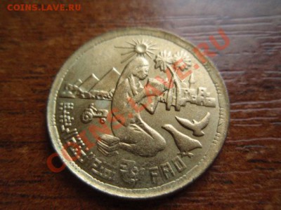ФАО Египет 10 миллимов 1980 Тётя у Пирамид до 05.05 в 21.00М - P5030546.JPG