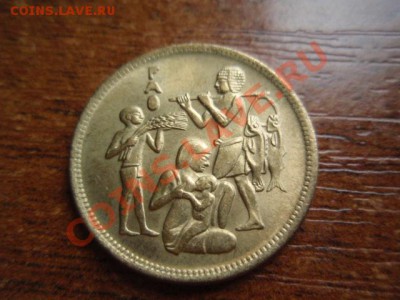 ФАО Египет 10 миллимов 1980 Семья до 05.05 в 21.00М - P5030536.JPG
