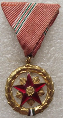медаль за заслуги в соц.труде,Венгрия,до 27.06,в 22.00мск - DSCF1476.JPG