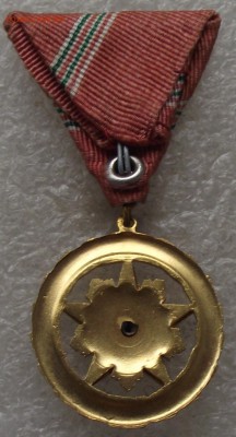 медаль за заслуги в соц.труде,Венгрия,до 27.06,в 22.00мск - DSCF1477.JPG