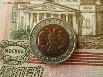 КК Туркменский Зублефар, 50 р.1993 г. До 31.07.18. в 22:00 М - IMG_6796.JPG