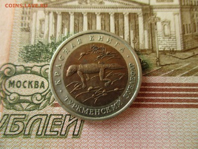 КК Туркменский Зублефар, 50 р.1993 г. До 31.07.18. в 22:00 М - IMG_6793.JPG