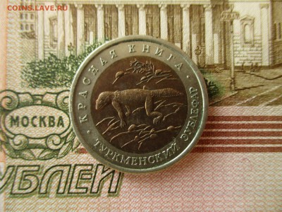 КК Туркменский Зублефар, 50 р.1993 г. До 31.07.18. в 22:00 М - IMG_6790.JPG