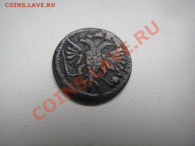 врп полушка1721,денги 1731-50.3 коп 1841СМ  до 05.05.11 200р - IMG_8643.JPG