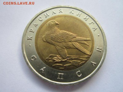 КК 1994 САПСАН 50 руб. АНЦ до 01.08.18 в 22:30 - IMG_1776.JPG