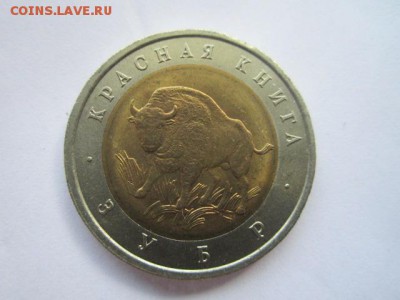 КК 1994 ЗУБР 50 руб. АНЦ до 01.08.18 в 22:30 - IMG_1771.JPG