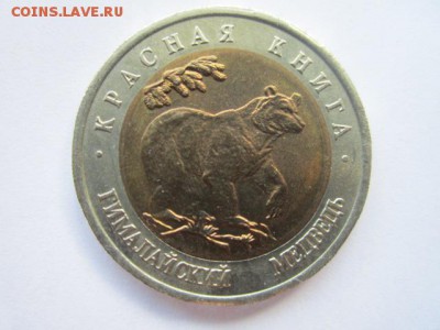 КК 1993 МЕДВЕДЬ 50 руб. АНЦ до 01.08.18 в 22:30 - IMG_1787.JPG