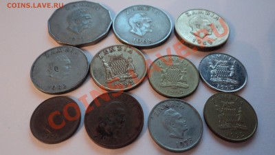Предпродажная оценка - Замбия - DSC00887.JPG