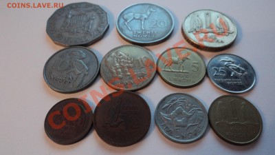 Предпродажная оценка - Замбия - DSC00886.JPG