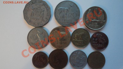 Предпродажная оценка - Замбия - DSC00884.JPG