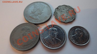 Предпродажная оценка - Маврикий - DSC00889.JPG