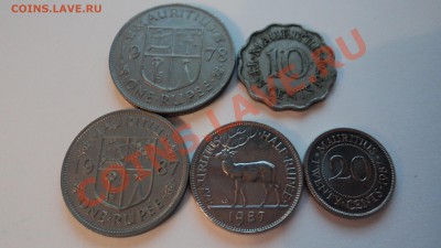 Предпродажная оценка - Маврикий - DSC00891.JPG