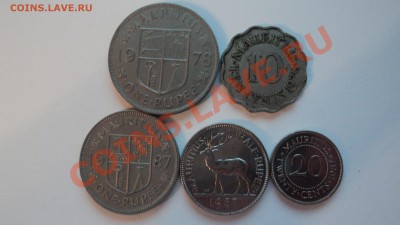 Предпродажная оценка - Маврикий - DSC00892.JPG
