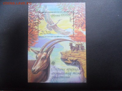 блок охрана природы 1990 г - SAM_3760.JPG