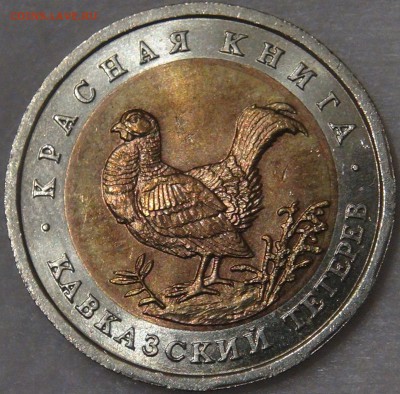 50 рублей 1993 Кавказский Тетерев до 02.08.18 (чт. 22-30) - DSC08807.JPG