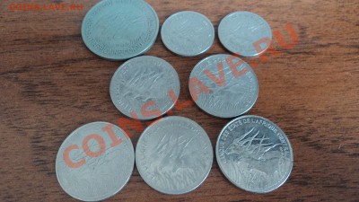 Предпродажная оценка - Африка - DSC00897.JPG