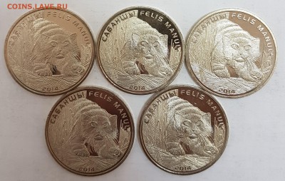 Казахстан 5 монет Манул с 200р до 01.08.2018 в 22.00 - ман