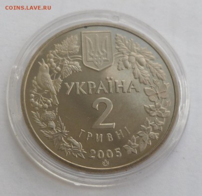 2 гривны 2005 г. "Слепыш песчаный" до 06.08 в 22ч 00 мин - SAM_8934.JPG