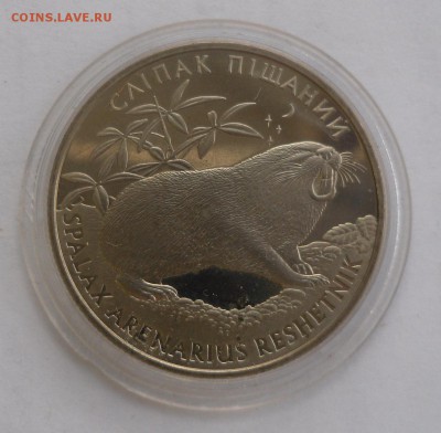2 гривны 2005 г. "Слепыш песчаный" до 06.08 в 22ч 00 мин - SAM_8931.JPG