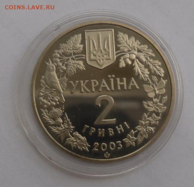 2 гривны 2003 г. "Морской конек" до 06.08 в 22 ч. 00 мин. - SAM_8921.JPG