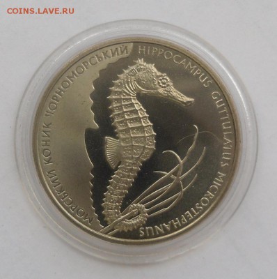 2 гривны 2003 г. "Морской конек" до 06.08 в 22 ч. 00 мин. - SAM_8918.JPG