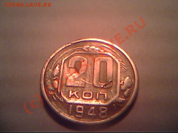 Бонус - IMG0730A