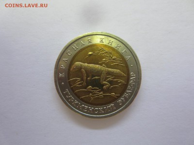 КК93 Туркменский зублефар до 06.08.1 в 22.00 мск - IMG_8914.JPG