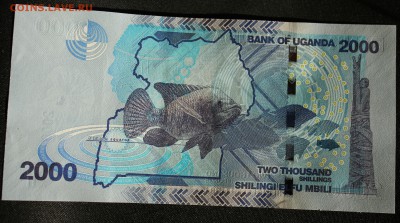 С РУБ. УГАНДА 2000 шиллингов 2017г. ПРЕСС до 8.08. в 22-00 - IMG_3567.JPG