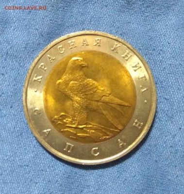 Красная Книга 50р.САПСАН.До 05.08.22:00.Блиц. - IMG-20180803-WA0147