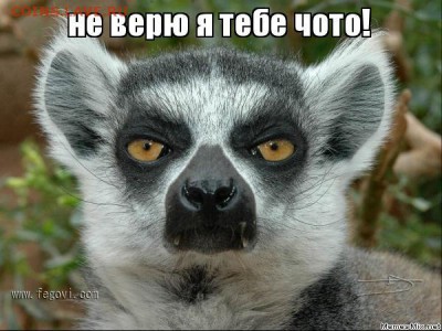 делает - прямо сейчас !!! - q8u4c8