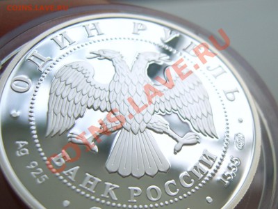 1 рубль СЕРЕБРО 2006г ГУСЬ СУХОНОС до 8 мая в 22.00 по МСК - SUC55694.JPG