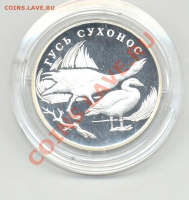 1 рубль СЕРЕБРО 2006г ГУСЬ СУХОНОС до 8 мая в 22.00 по МСК - гусь.JPG