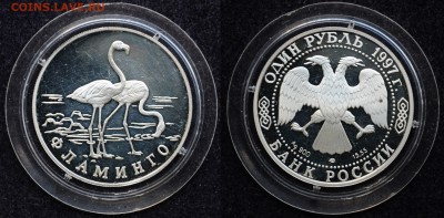 2 рубля 1997г. Фламинго - DSC_3900.JPG