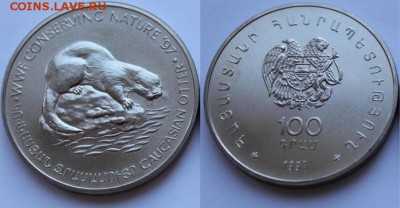 Крона Шайба Армения 100 драм 1997 Кавказская выдра - krona_shajba_armenija_100_dram_1997_kavkazskaja_vydra_sokhranim_prirodu_fond_dikoj_prirody_fauna_wwf