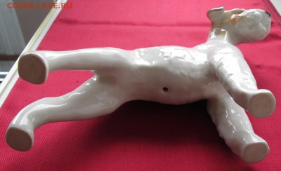 Фарфоровая статуэтка Эрдельтерьер до 22-00 12.08.18 года - IMG_7124.JPG