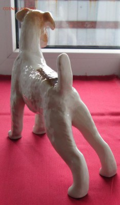 Фарфоровая статуэтка Эрдельтерьер до 22-00 12.08.18 года - IMG_7123.JPG