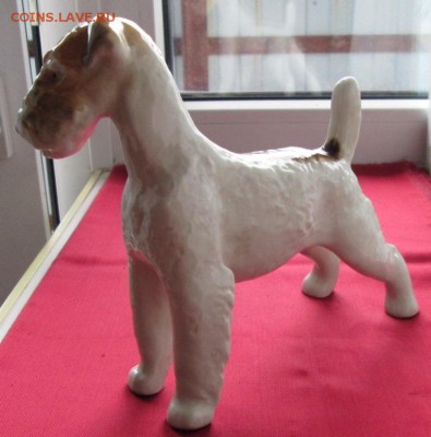 Фарфоровая статуэтка Эрдельтерьер до 22-00 12.08.18 года - IMG_7122.JPG