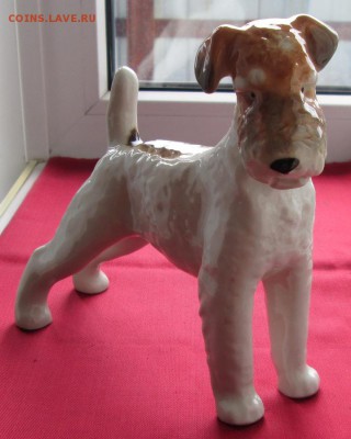 Фарфоровая статуэтка Эрдельтерьер до 22-00 12.08.18 года - IMG_7121.JPG