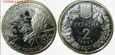 УКРАИНА 2 гр. Мадрина польская. До 09.08 В 22-00МСК - Мадрина польская