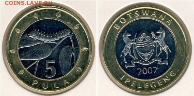 биметалл Ботсвана 5 пул 2007 гусеница фауна UNC - bimetall_botsvana_5_pul_2007_gusenica_fauna_unc
