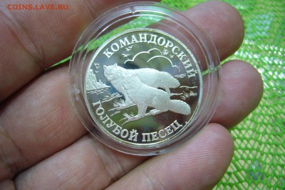 1 рубль 2003 Командорский голубой песец - P1890962.JPG