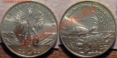 Польша 2zl. 2002г. Черепаха до 09.05.2011 22-00 ФВ. - Черепаха