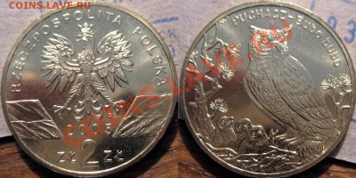 Польша 2zl. 2006г. Филин до 09.05.2011 22-00 ФВ. - Сова