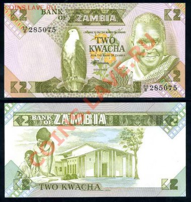 Замбия 2 квача________________до 11.05.2011 - замбия2квача_12.jpg