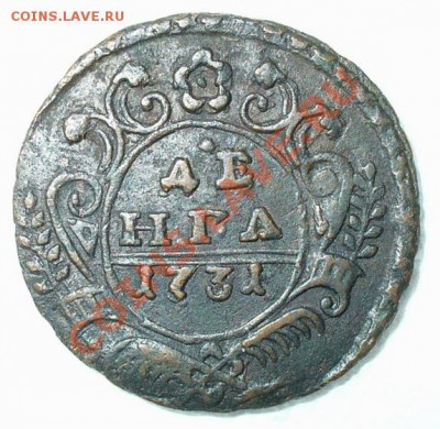 Денга 1731 на оценку - д1731-07 из коп Петра1.JPG