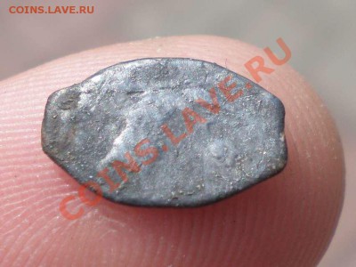 Чешуйки, не пойму я ничего...)) - P5060177_thumb