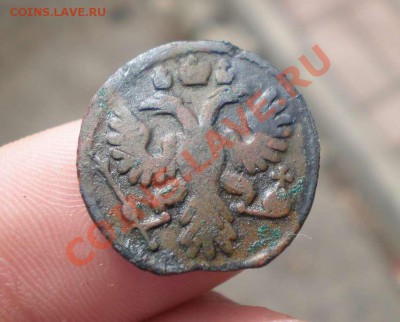 Полушка 1735 года орел? - P5060181_thumb
